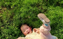 歪歪漫画登录页面免费漫画入口页面在线!